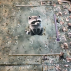 Tvättbjörn - Panel