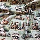 Skogens djur - Zelected By ZannaZ