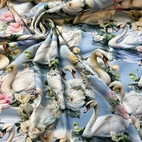 Svanar - Zelected By ZannaZ