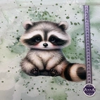 Skogensdjur, tvättbjörn - Zelected By ZannaZ