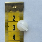 Kornischglid med ögla