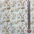 Kanin - Zelected By ZannaZ