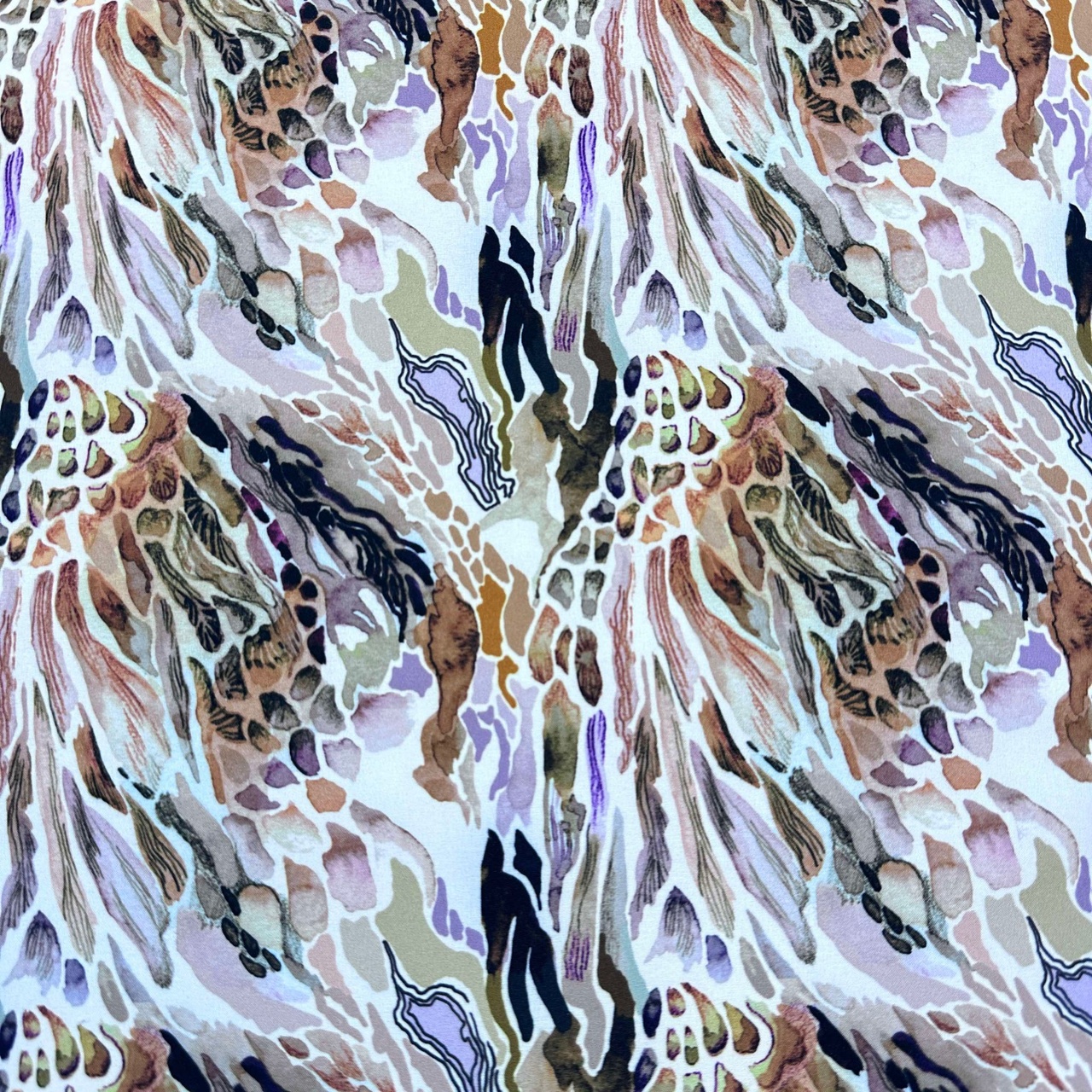 Alexia - Softshell