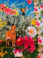 Ponny kompis - Panel Mörk Grå