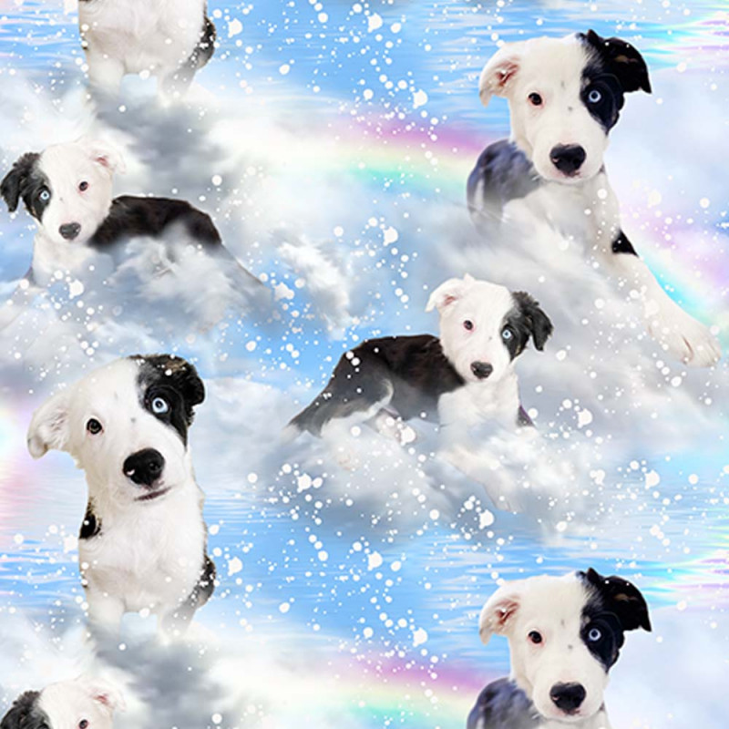 Frank - Jersey fabric