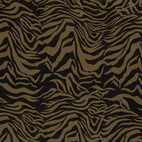 Tiger - Courtellejersey
