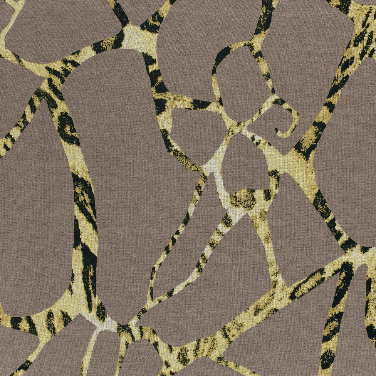 Lynx, sand - Courtellejersey