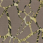 Lynx, sand - Courtellejersey