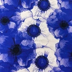 Winnie - Viscose jersey