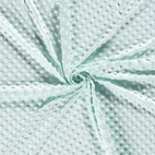 Minky - Mint