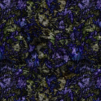 Viscose - Arie