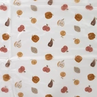 Pumpking & Veggies - Rainwear Fabric
