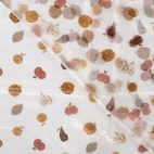 Pumpking & Veggies - Rainwear Fabric