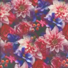 Laura (Design.B) - Viscose Jersey.