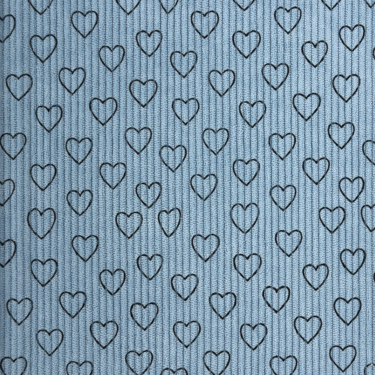 Little Love / Old Blue - Ribbcord