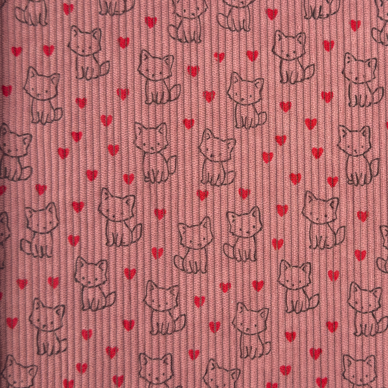 Little Foxes  / Old Pink - Ribbcord