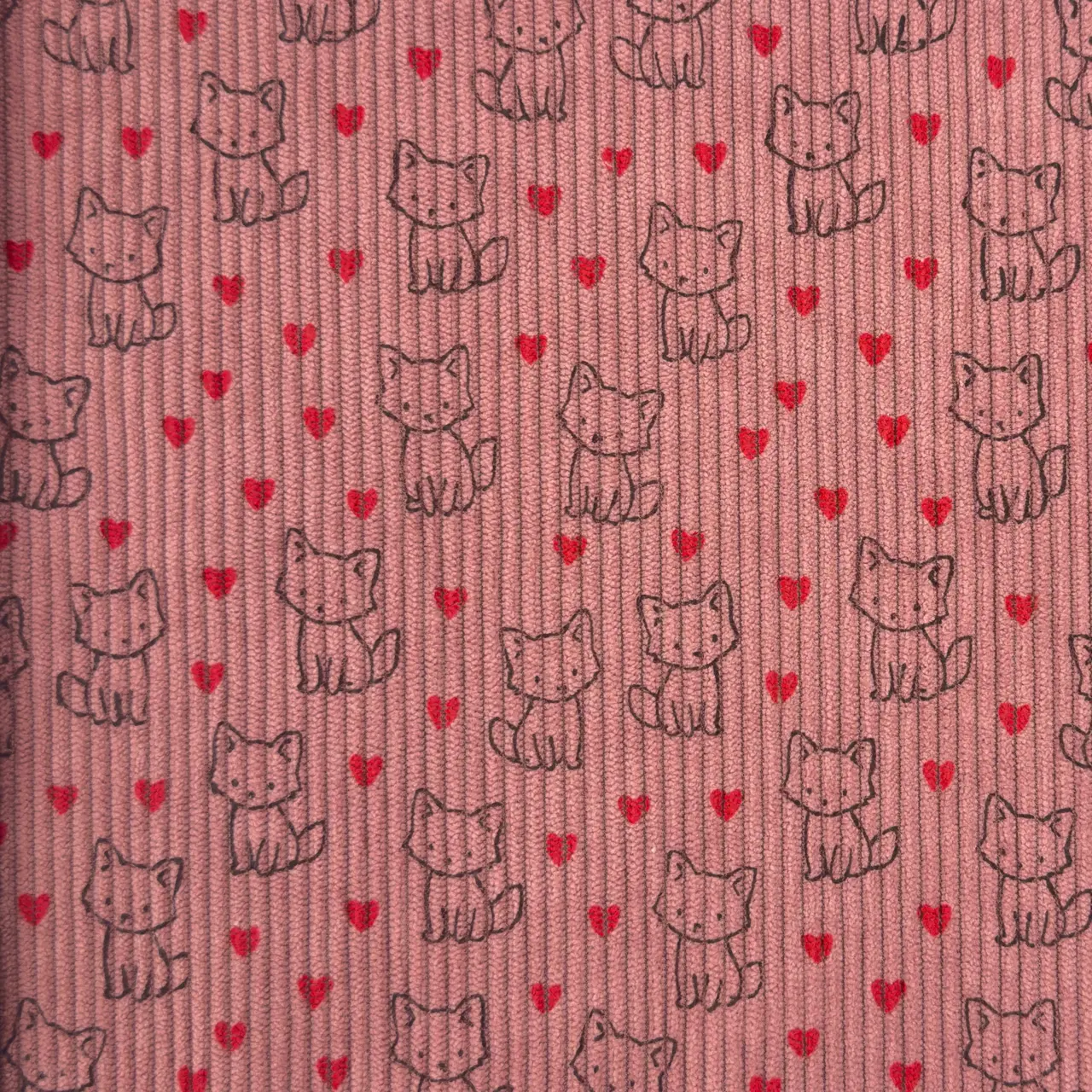 Little Foxes  / Old Pink - Ribbcord