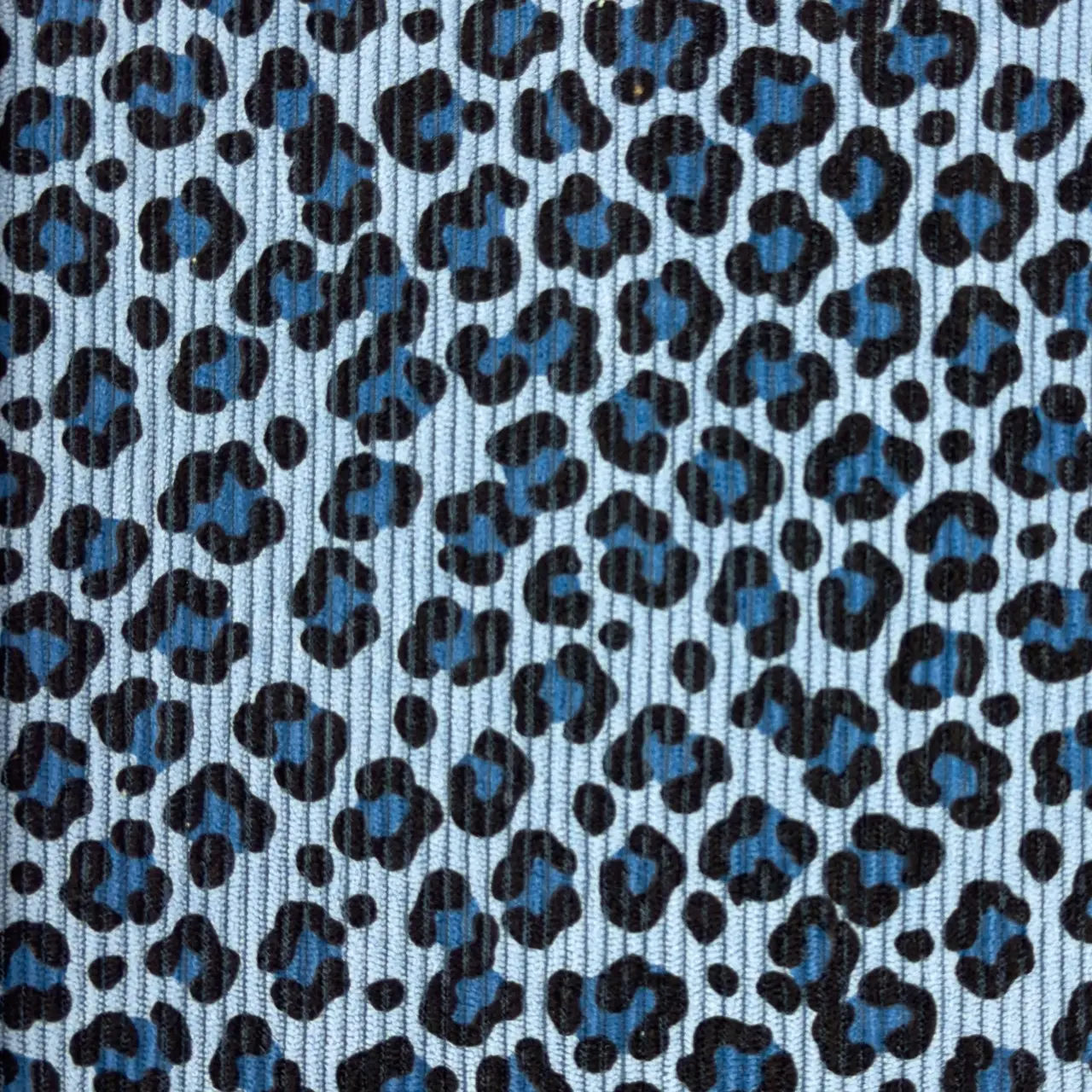 Leopard  / Old Blue - Ribbcord