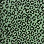 Leopard  / Old Green - Ribbcord