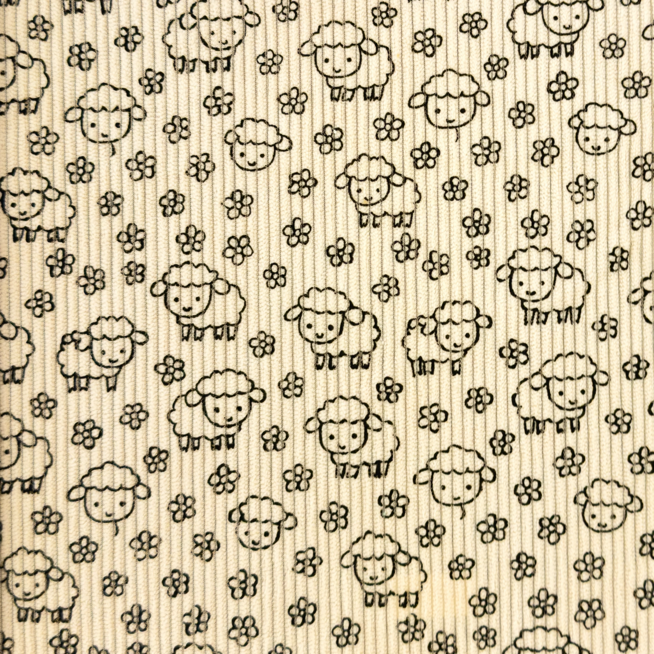 Little Sheep's / Light Sand - Ribbcord