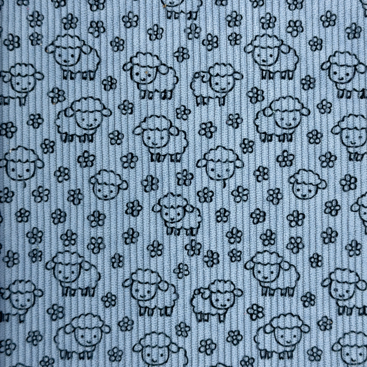 Little Sheep's / Old Blue - Ribbcord