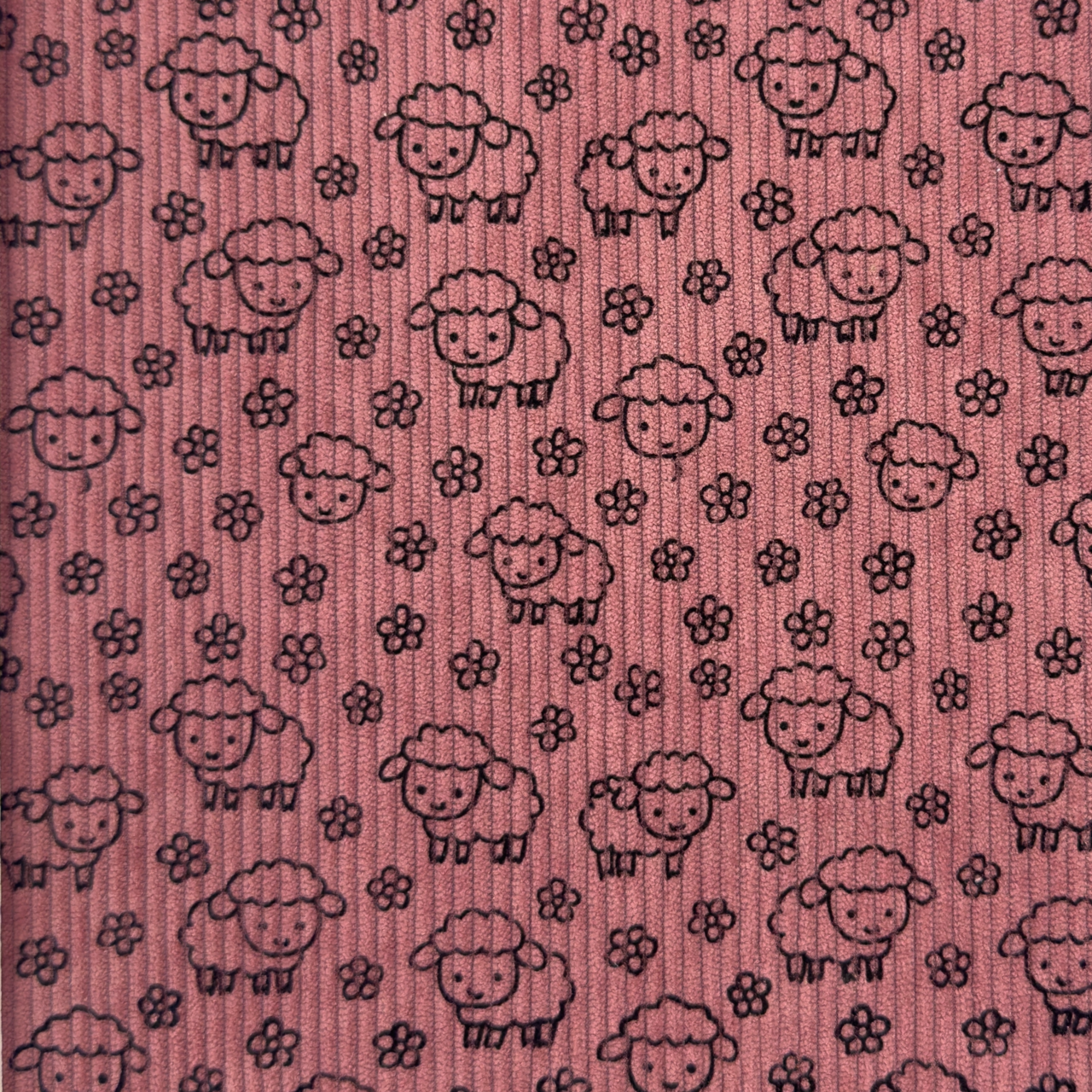 Little Sheep's / Old Pink - Ribbcord