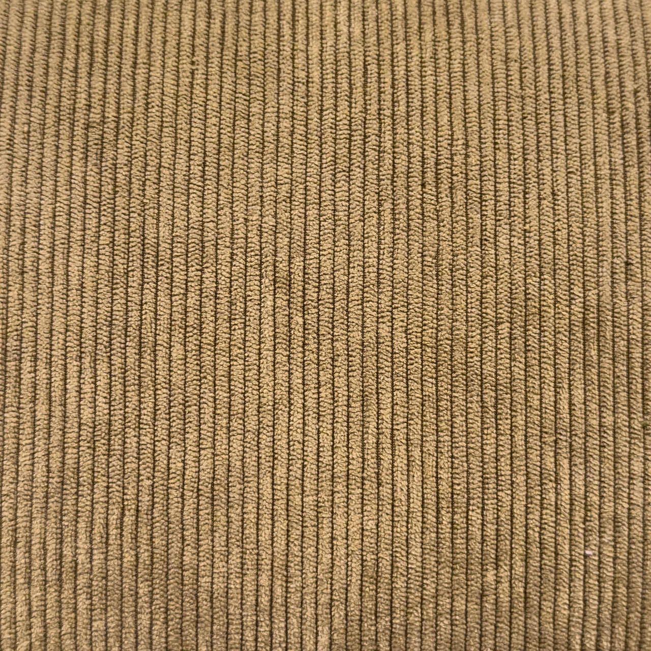 Uni Cord  / Taupe - Ribbcord