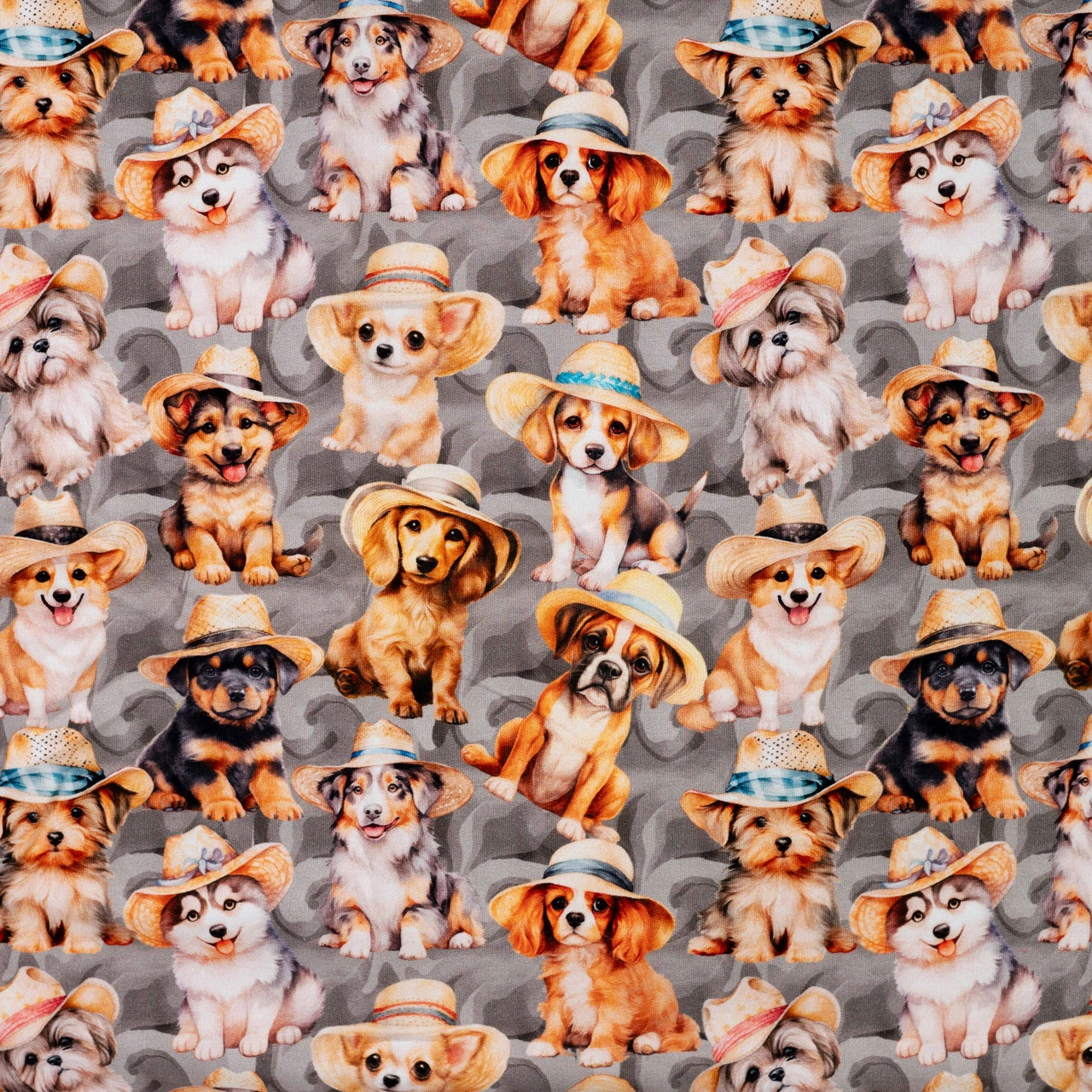 Dog for my hat - jogging