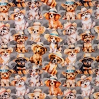 Dog for my hat - jogging