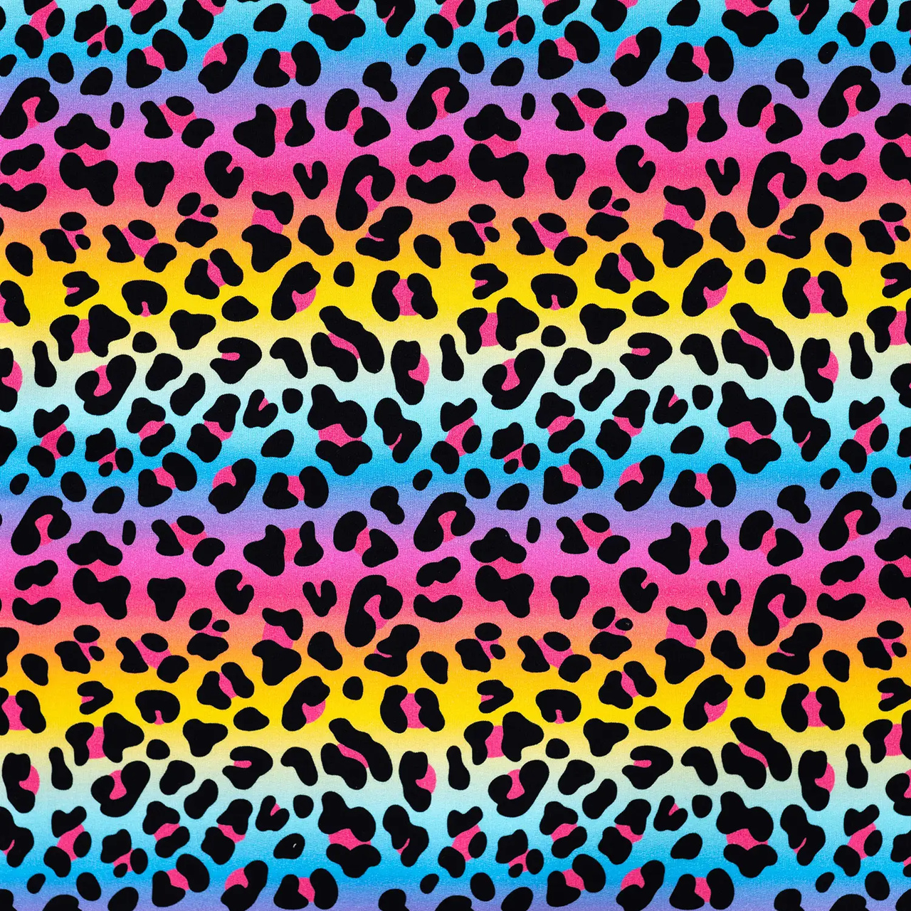 Leopard Rainbow Stripes - jogging