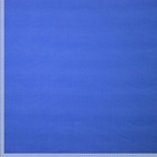 Micro Fleece - Royal