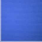 Micro Fleece - Royal