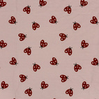 Hjärtliga nyckelpigor - jogging