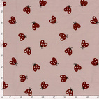 Hjärtliga nyckelpigor - jogging