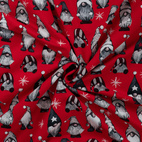 Luvtomte, röd - Jogging