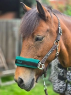 3D Mesh - svart/grön