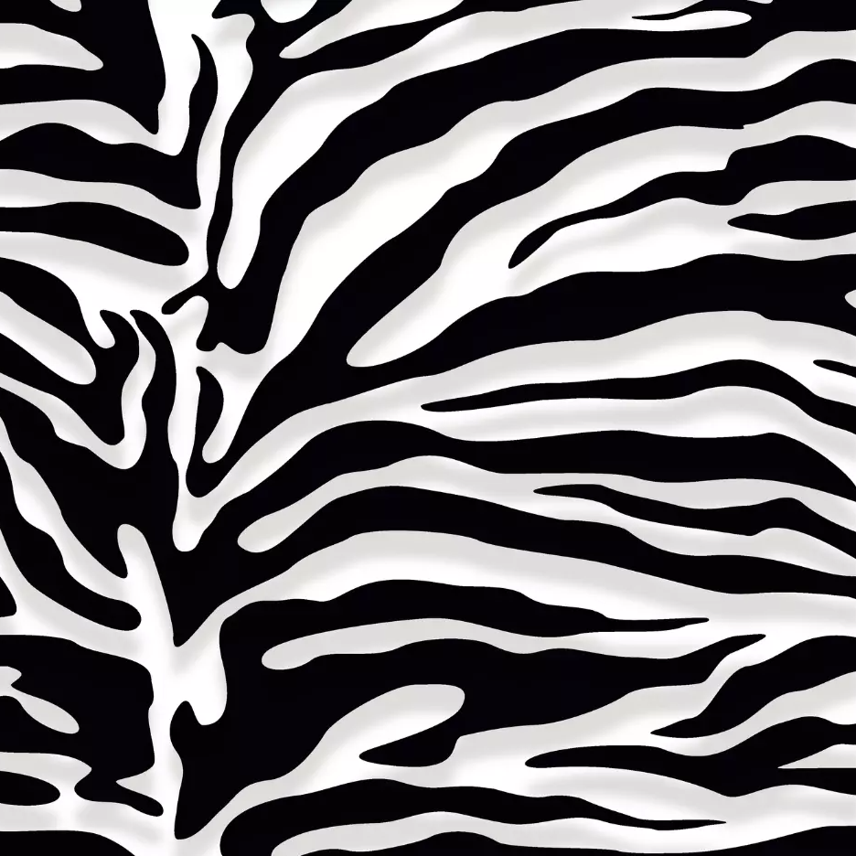 Zebra svart vit 2.0 - Trikåtyg