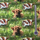 Kalvar På Ängen - Trikåtyg