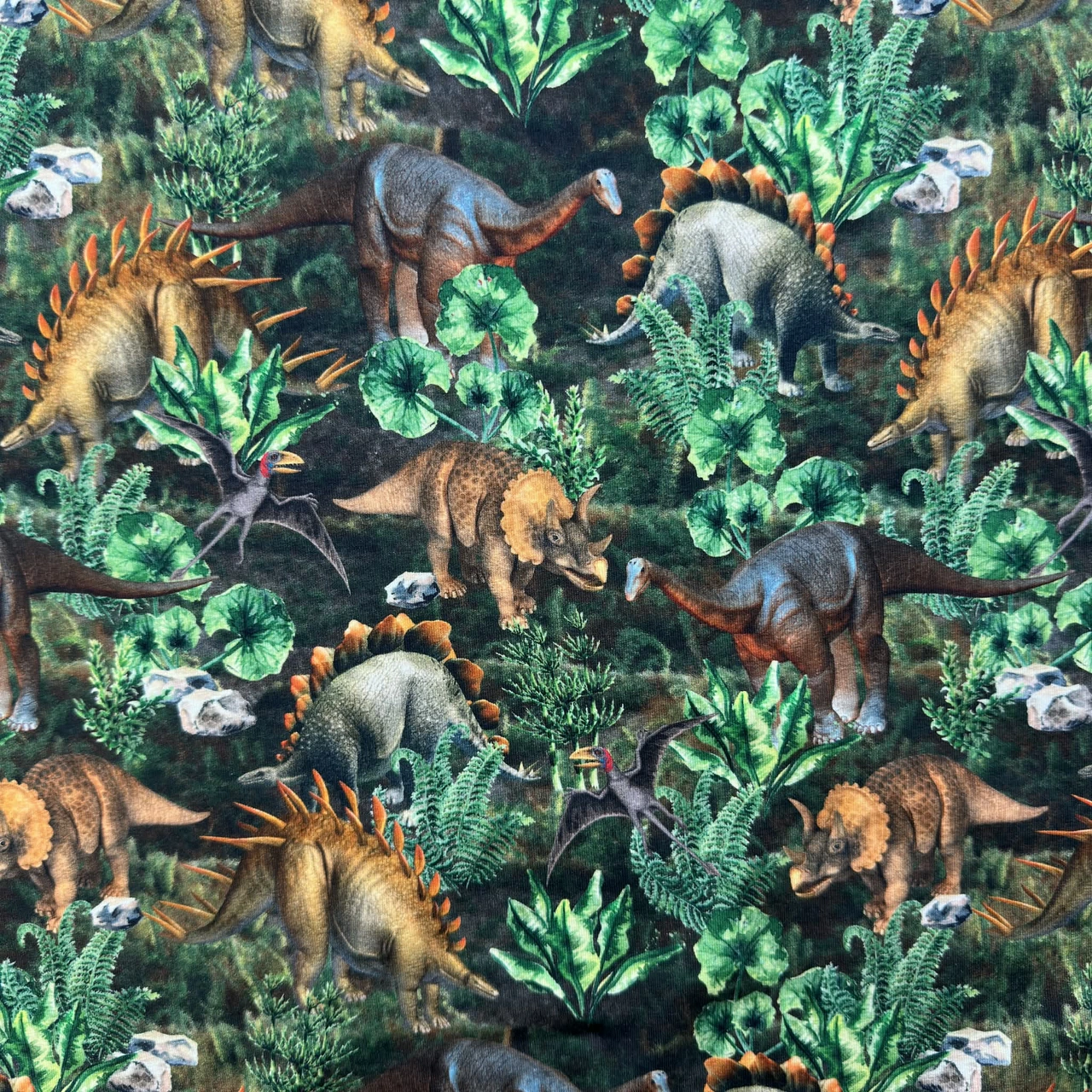 Dinos - Jersey fabric