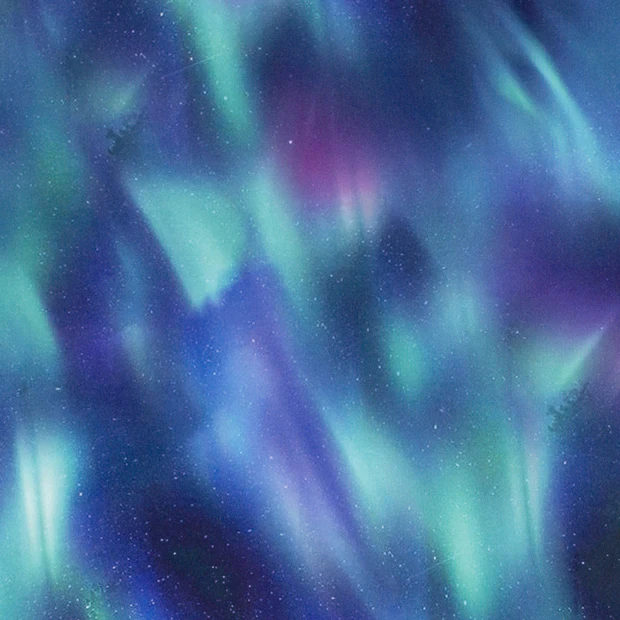 Sonya Mint - Sportlycra