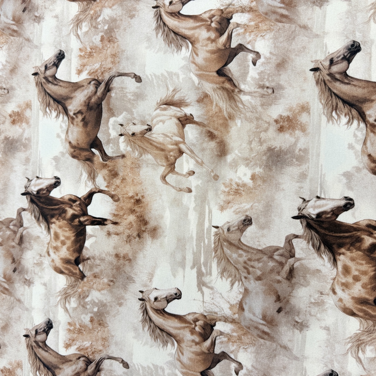 Vilda hästar -  Zelected By ZannaZ