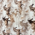 Vilda hästar -  Zelected By ZannaZ