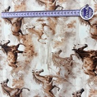 Vilda hästar -  Zelected By ZannaZ