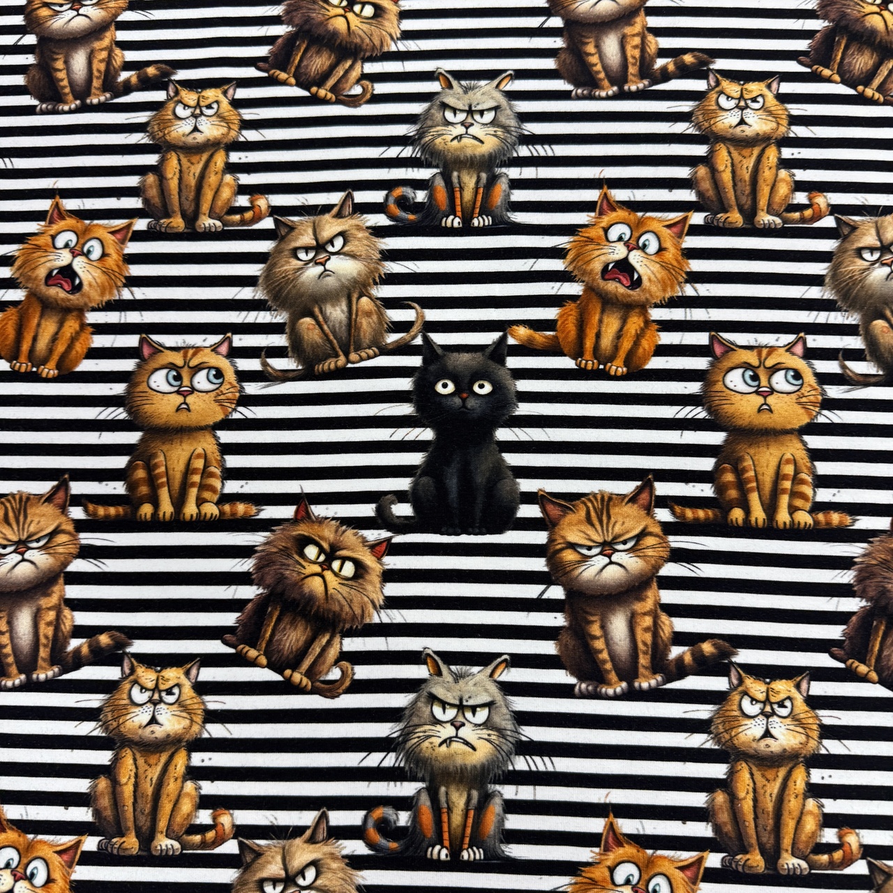 Randiga katter -  Zelected By ZannaZ