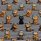 Randiga katter -  Zelected By ZannaZ