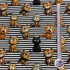 Randiga katter -  Zelected By ZannaZ