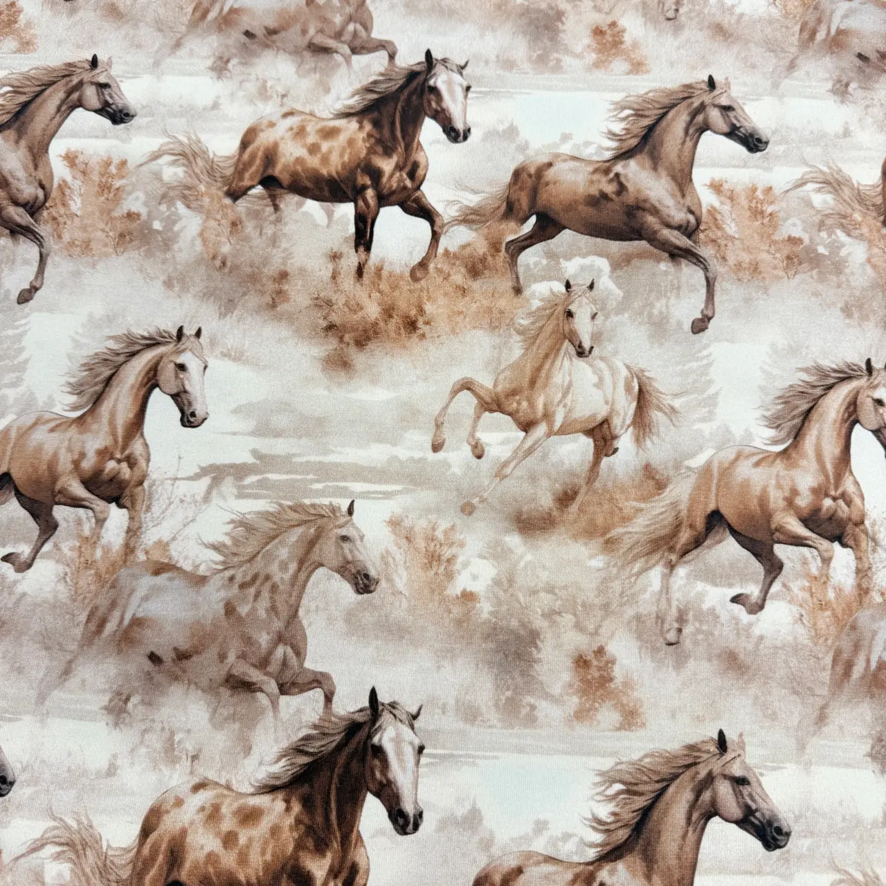 Vilda hästar -  Zelected By ZannaZ