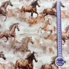 Vilda hästar -  Zelected By ZannaZ