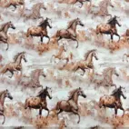 Vilda hästar -  Zelected By ZannaZ