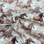 Vilda hästar -  Zelected By ZannaZ